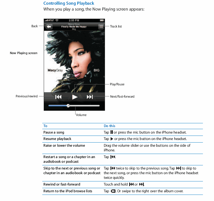 iPhone - Music Controls