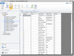 WebMatrix_db_manager