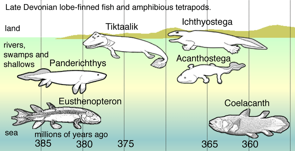 Fishapods