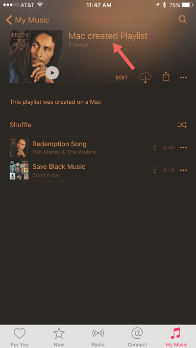 HTD Set Up & Sync iTunes Playlist - playlist details