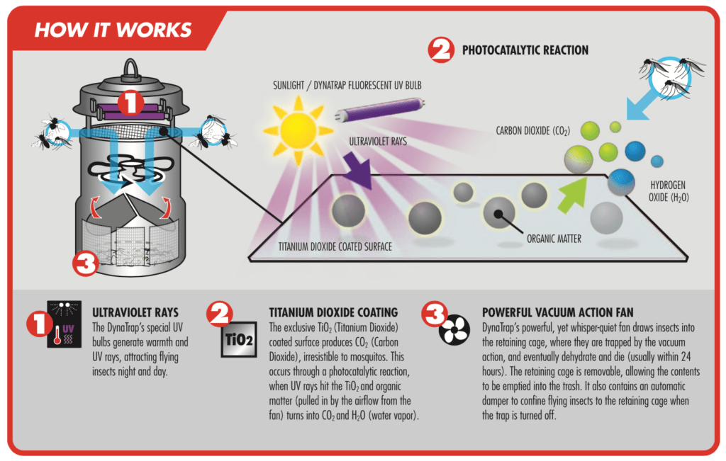 Dynatrap Review - how it works diagram