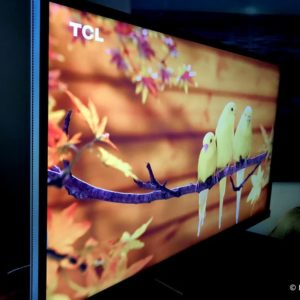 BenQ EW3270U monitor review - yellow birds