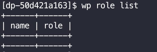 HighTechDad - missing roles found via WP CLI