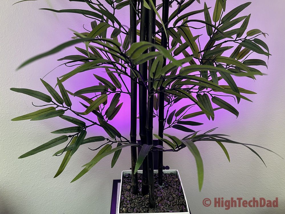 Purple Ambient Lighting - Nooie Aurora Smart LED bulb - Review by HighTechDad